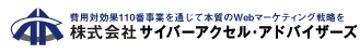 株式会社サイバーアクセル・アドバイザーズ